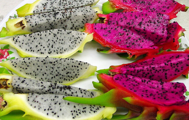 impoex-pitahaya-800-por-510